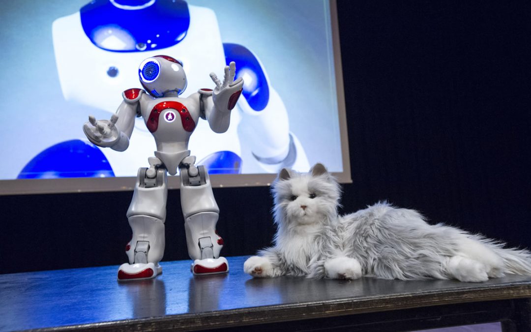 NAO | Robots nu en in de Toekomst