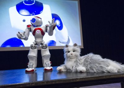 NAO | Robots nu en in de Toekomst